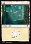 画像1: 平地/Plains (1)