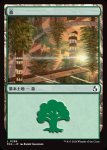 画像1: 森/Forest (1)