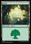 画像2: 森/Forest (2)