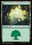 画像1: 森/Forest (1)