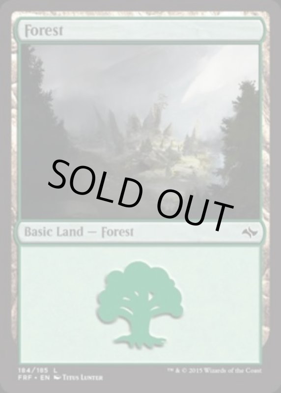 画像2: 森/Forest  (2)