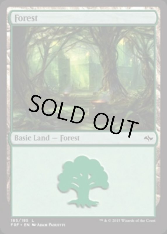 画像2: 森/Forest  (2)