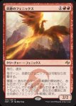 画像1: 炎跡のフェニックス/Flamewake Phoenix　 (1)