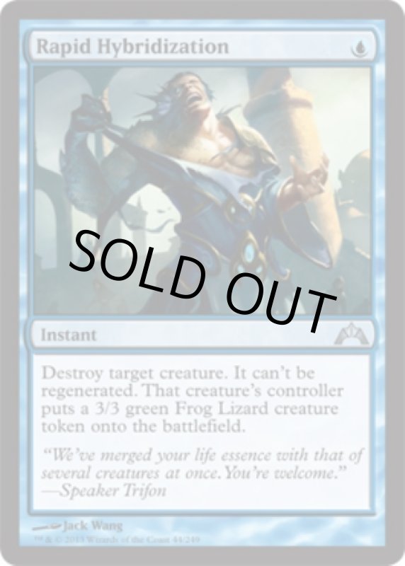 画像2: 急速混成/Rapid Hybridization　 (2)