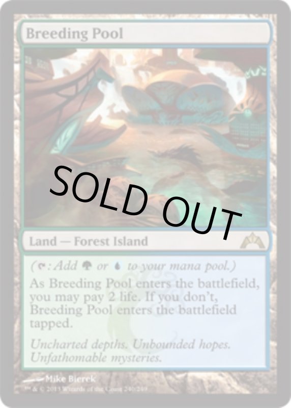 画像2: 繁殖池/Breeding Pool　 (2)