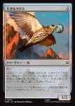 画像1: 大きなツグミ/Old Thrush (1)