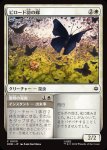 画像1: ビロード羽の蝶/Velvetwing Butterflies (1)