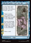 画像2: でぶのクモには、おれは見えない/Old Fat Spider Can't See Me (2)