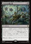 画像1: クモたちの晩ご飯/Supper for Spiders (1)