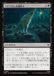 画像1: うやうやしき遠吠え/Reverent Howl (1)