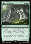 画像1: 森の入り口を抜けて/Through the Forest Gate (1)