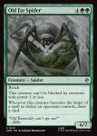 画像2: でぶの年寄りクモ/Old Fat Spider (2)