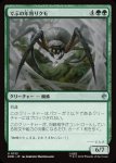 画像1: でぶの年寄りクモ/Old Fat Spider (1)