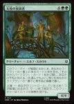 画像1: 大枝の放浪者/Boughside Wanderers (1)