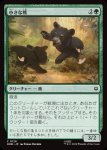 画像1: 小さな熊/Little Bear (1)