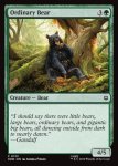 画像2: ふつうの熊/Ordinary Bear (2)