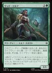画像1: ウッド・エルフ/Wood Elves (1)