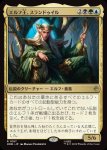 画像1: エルフ王、スランドゥイル/Thranduil, the Elvenking (1)