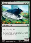 画像1: 大きな熊/Large Bear (1)