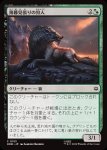 画像1: 薄暮見張りの狩人/Duskwatch Hunter (1)
