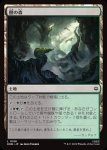 画像1: 闇の森/Mirkwood (1)