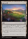 画像1: ホビット穴/Hobbit Hole (1)