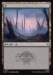 画像1: 沼/Swamp (1)