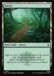 画像2: 森/Forest (2)