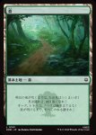 画像1: 森/Forest (1)