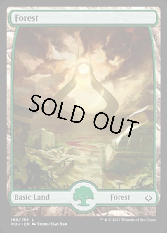 画像2: 森/Forest  (2)