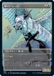 画像1: 【ショーケース】狐インコ/Vulpikeet　 (1)