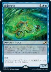 画像1: 海駆けダコ/Sea-Dasher Octopus　 (1)