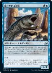 画像1: 飛びかかる岸鮫/Pouncing Shoreshark　 (1)