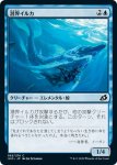 画像1: 潜界イルカ/Phase Dolphin　 (1)