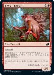 画像1: トゲマーモセット/Prickly Marmoset　 (1)