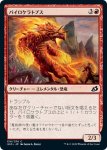 画像1: パイロケラトプス/Pyroceratops　 (1)