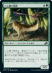 画像1: ハエ捕り長首/Flycatcher Giraffid　 (1)