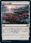 画像1: 進化する未開地/Evolving Wilds　 (1)