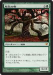 画像1: 解放の樹/Tree of Redemption　 (1)