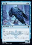 画像1: 占い鴉/Augury Raven (1)