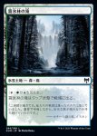画像1: 霧氷林の滝/Rimewood Falls (1)