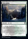 画像1: 森林の地割れ/Woodland Chasm (1)