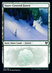 画像2: 冠雪の森/Snow-Covered Forest (2)