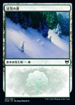 画像1: 冠雪の森/Snow-Covered Forest (1)