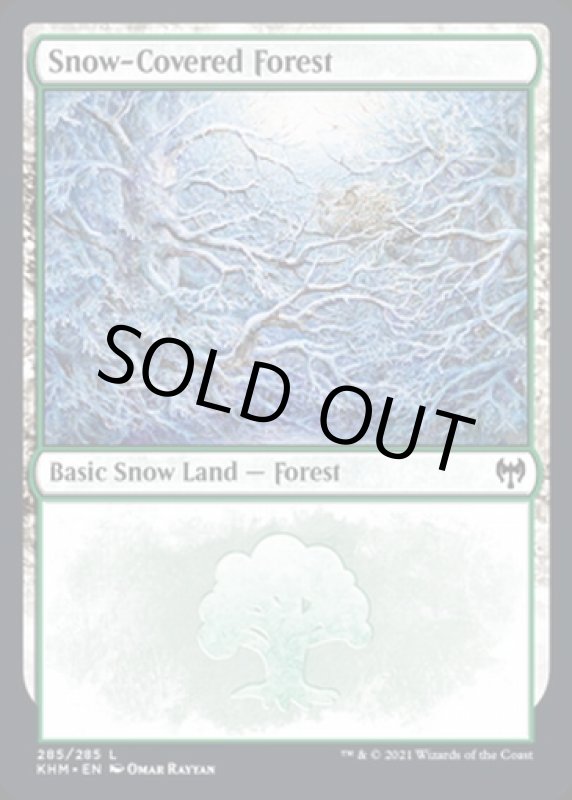 画像2: 冠雪の森/Snow-Covered Forest (2)