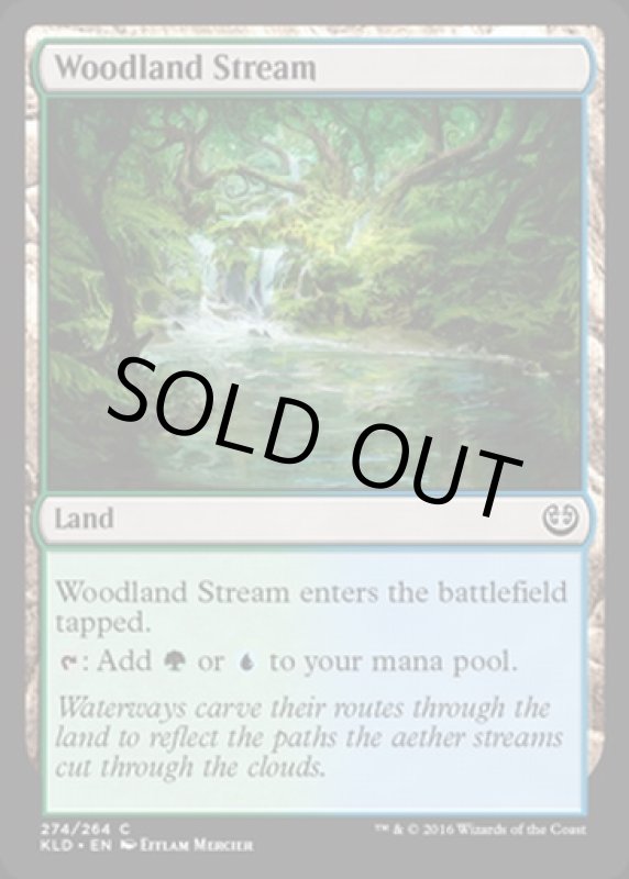 画像2: 森林地の小川/Woodland Stream　 (2)