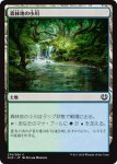 画像1: 森林地の小川/Woodland Stream　 (1)