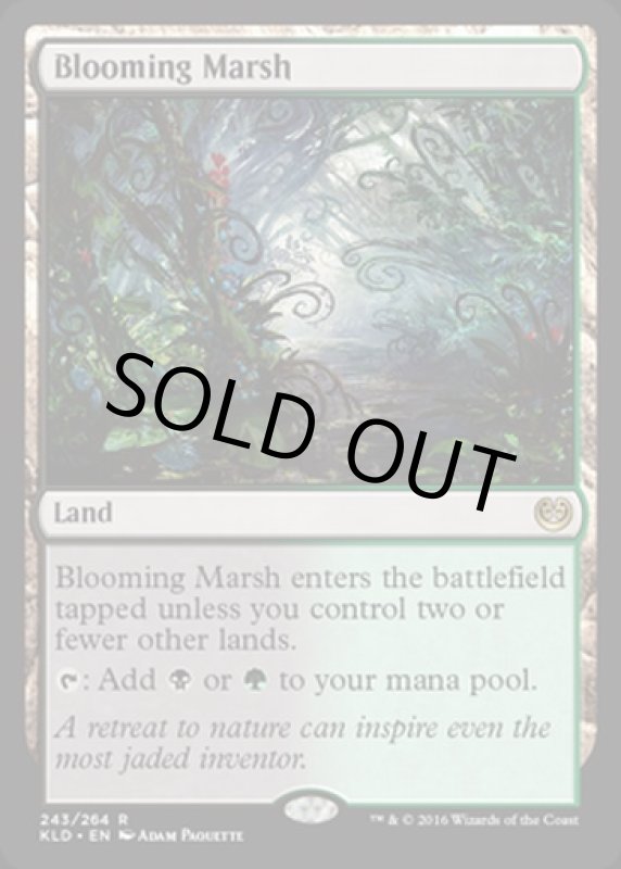 画像2: 花盛りの湿地/Blooming Marsh　 (2)