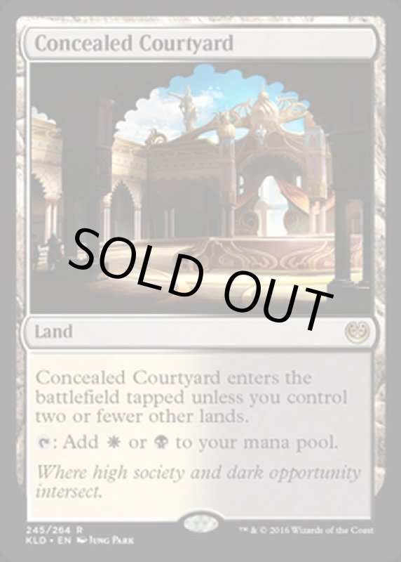 画像2: 秘密の中庭/Concealed Courtyard　 (2)