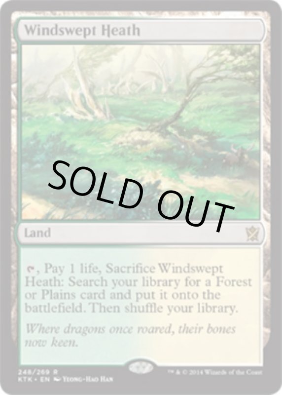 画像2: 吹きさらしの荒野/Windswept Heath　 (2)